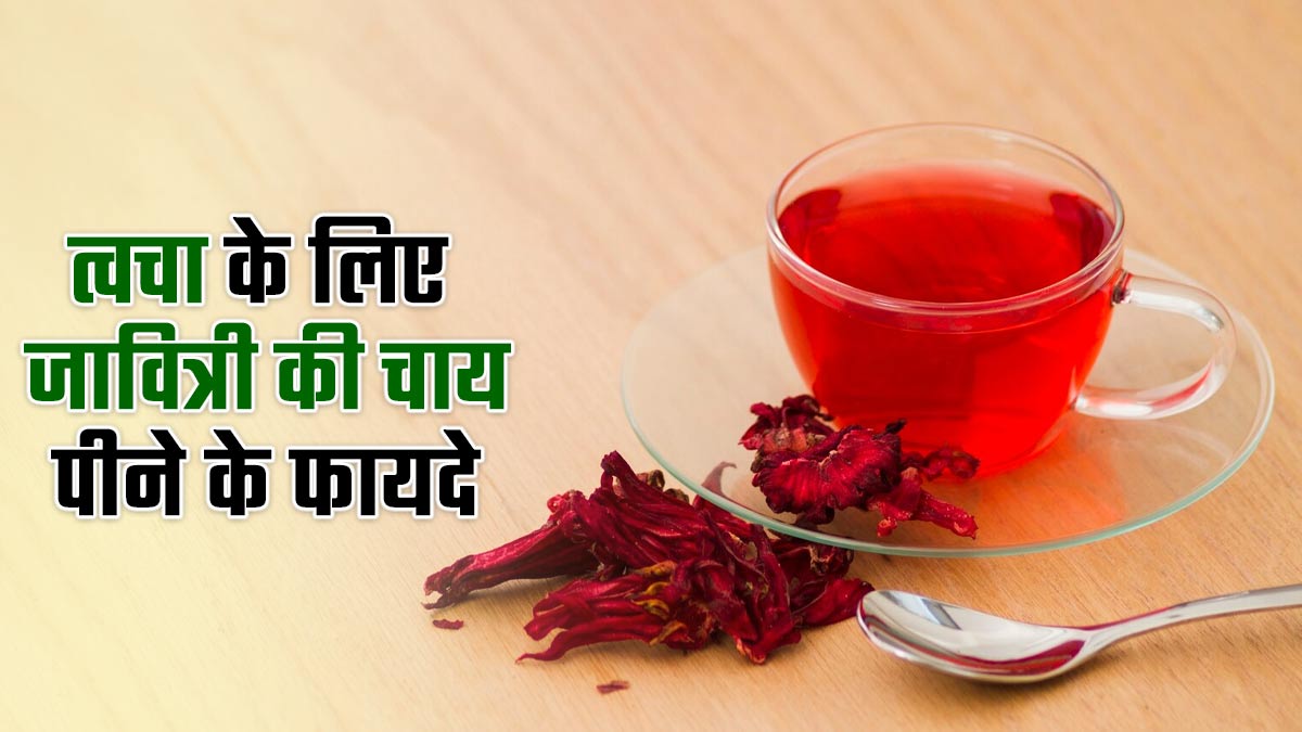 त्वचा के लिए फायदेमंद हो सकती है जावित्री की चाय, एक्सपर्ट से जानें फायदे
