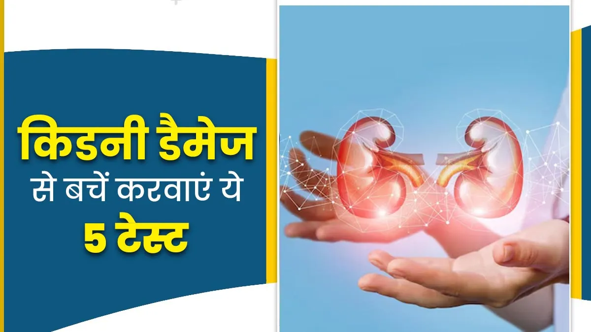 बिना लक्षण के भी हो सकता है किडनी डैमेज, समय पर कराएं ये 5 टेस्ट