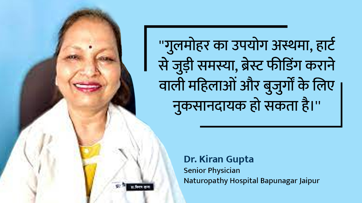 gulmohar benefits side effects and right way to eat know from ayurvedic doctor in hindi 1