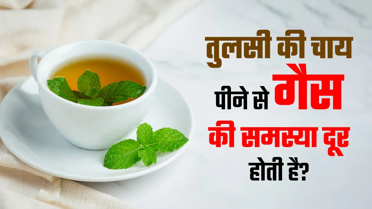 तुलसी की चाय पीने से गैस की समस्या दूर होती है? डॉक्टर से जानें