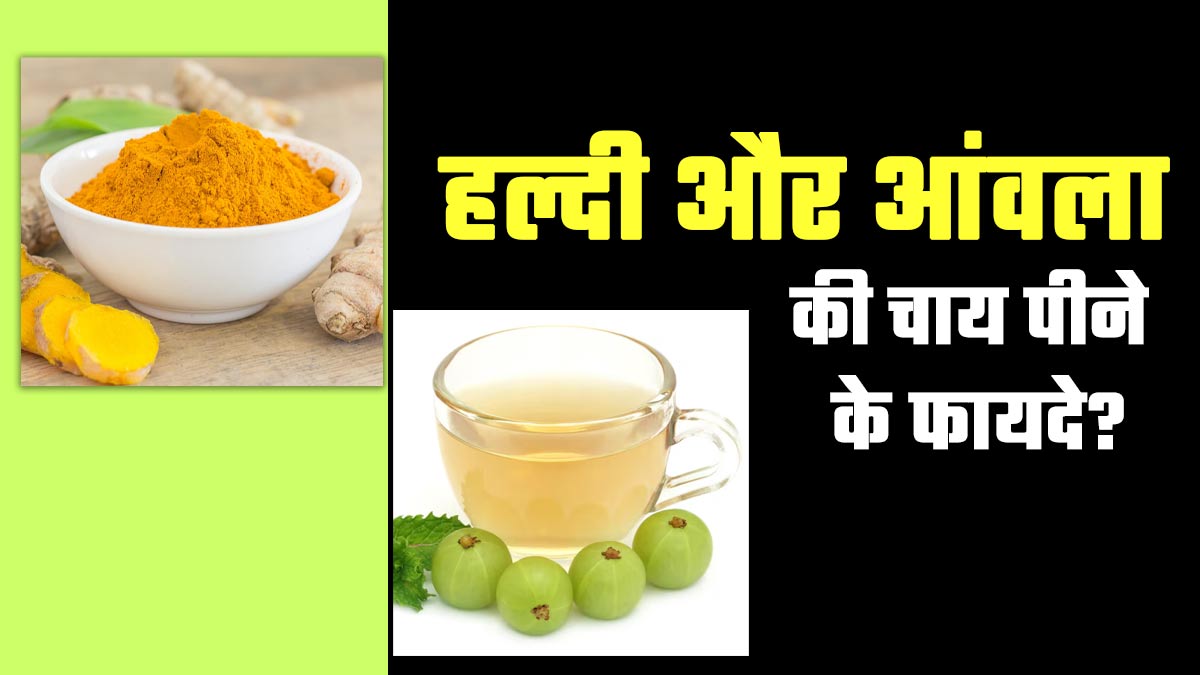 हल्दी और आंवला की चाय पीने के फायदे? एक्सपर्ट से जानें
