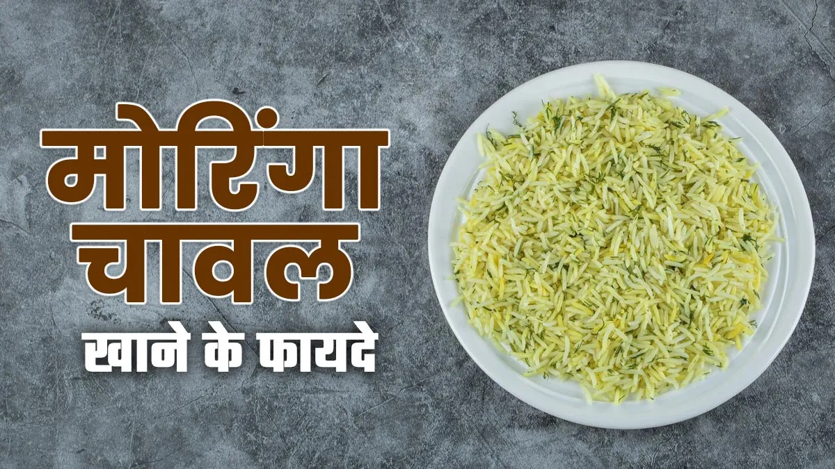 मोरिंगा चावल है सेहतकारी, एक्सपर्ट से जानें फायदे और रेसिपी