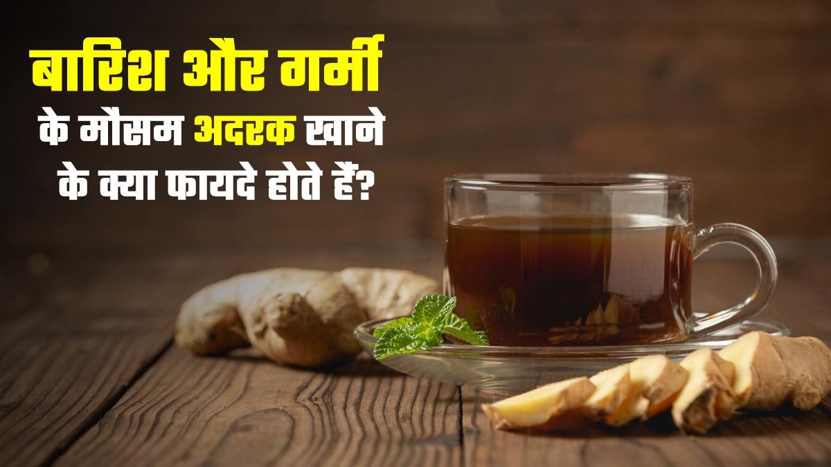 बारिश और गर्मी के मौसम में अदरक खाने के क्या फायदे होते हैं? डॉक्टर से जानें