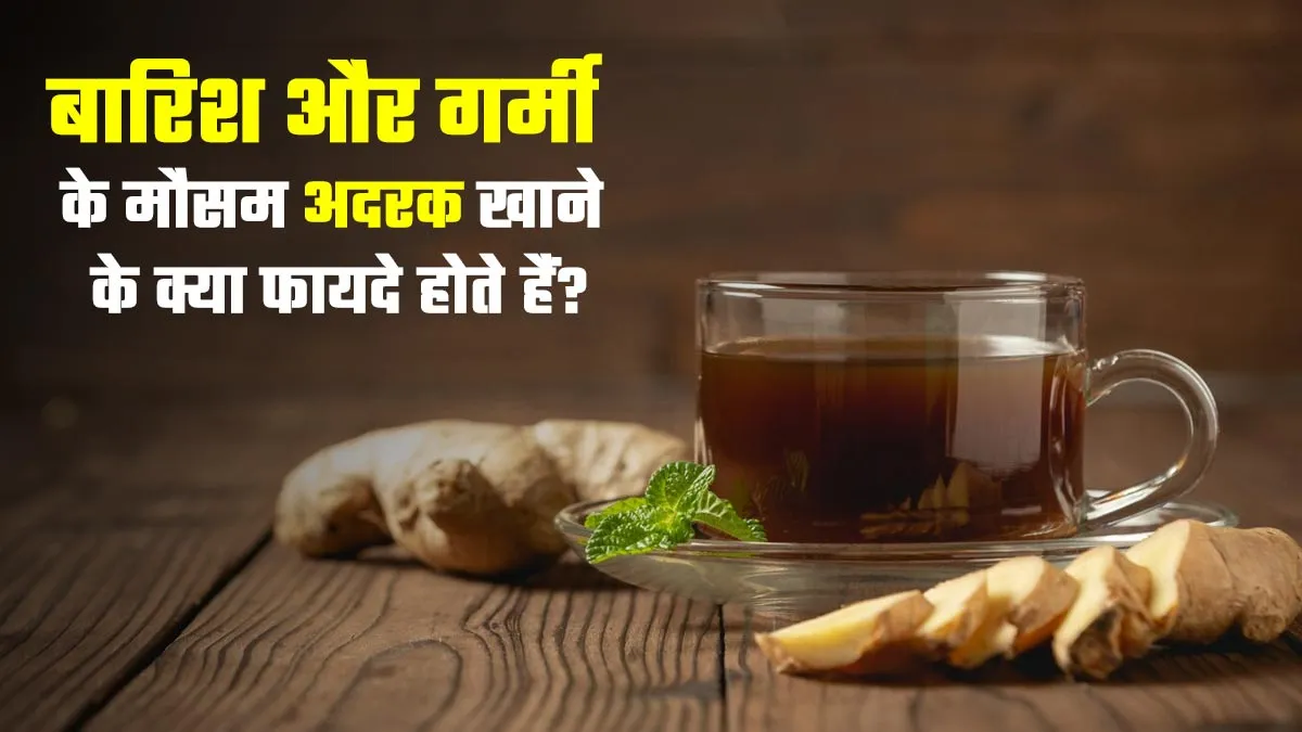 बारिश और गर्मी के मौसम में अदरक खाने के क्या फायदे होते हैं? डॉक्टर से जानें