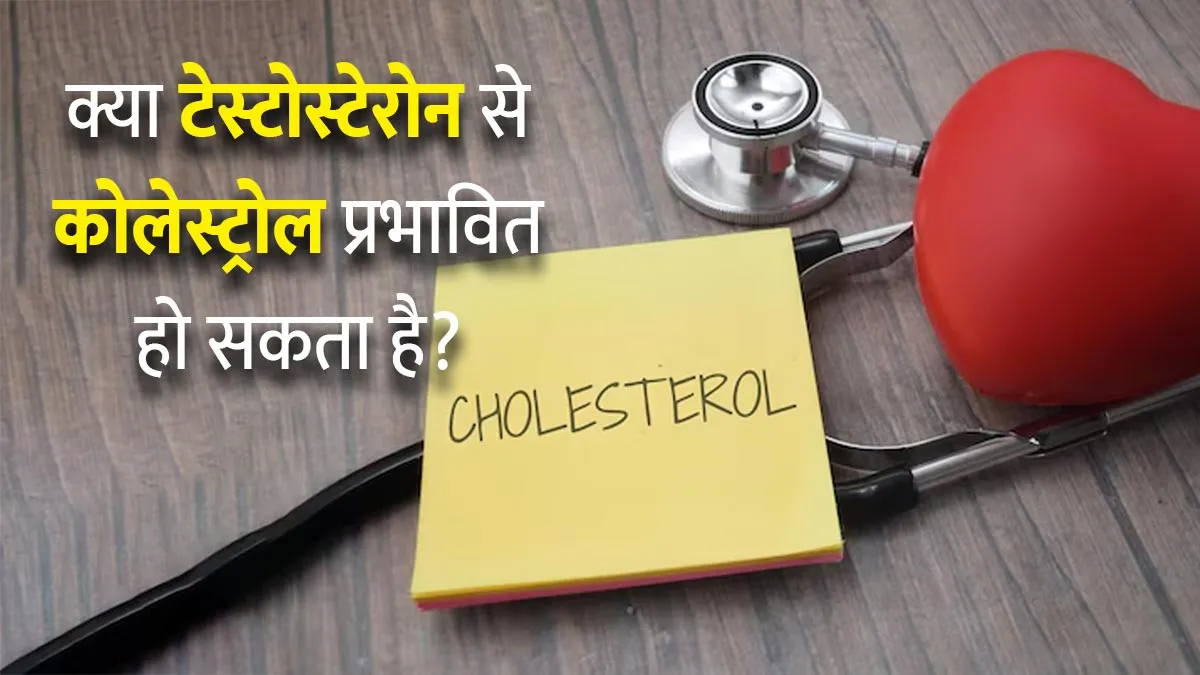 क्या टेस्टोस्टेरोन से कोलेस्ट्रोल प्रभावित हो सकता है? डॉक्टर से जानें