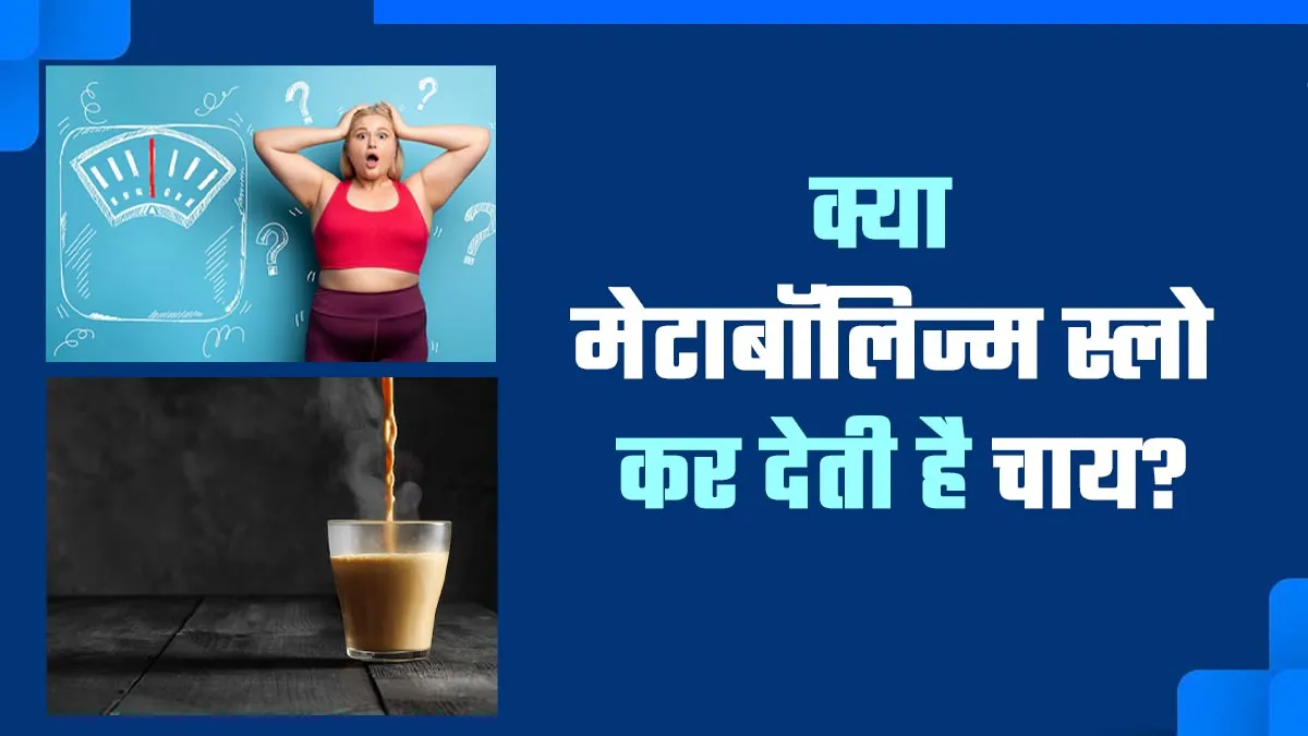 क्या चाय पीने से मेटाबॉलिज्म स्लो होता है? डॉक्टर से लें सही जानकारी