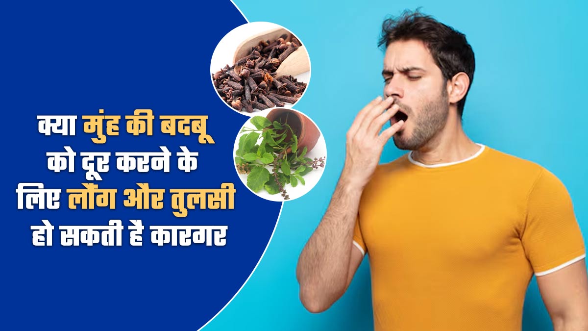 क्या मुंह की बदबू को दूर करने के लिए लौंग और तुलसी हो सकती है कारगर, डॉक्टर से जानें