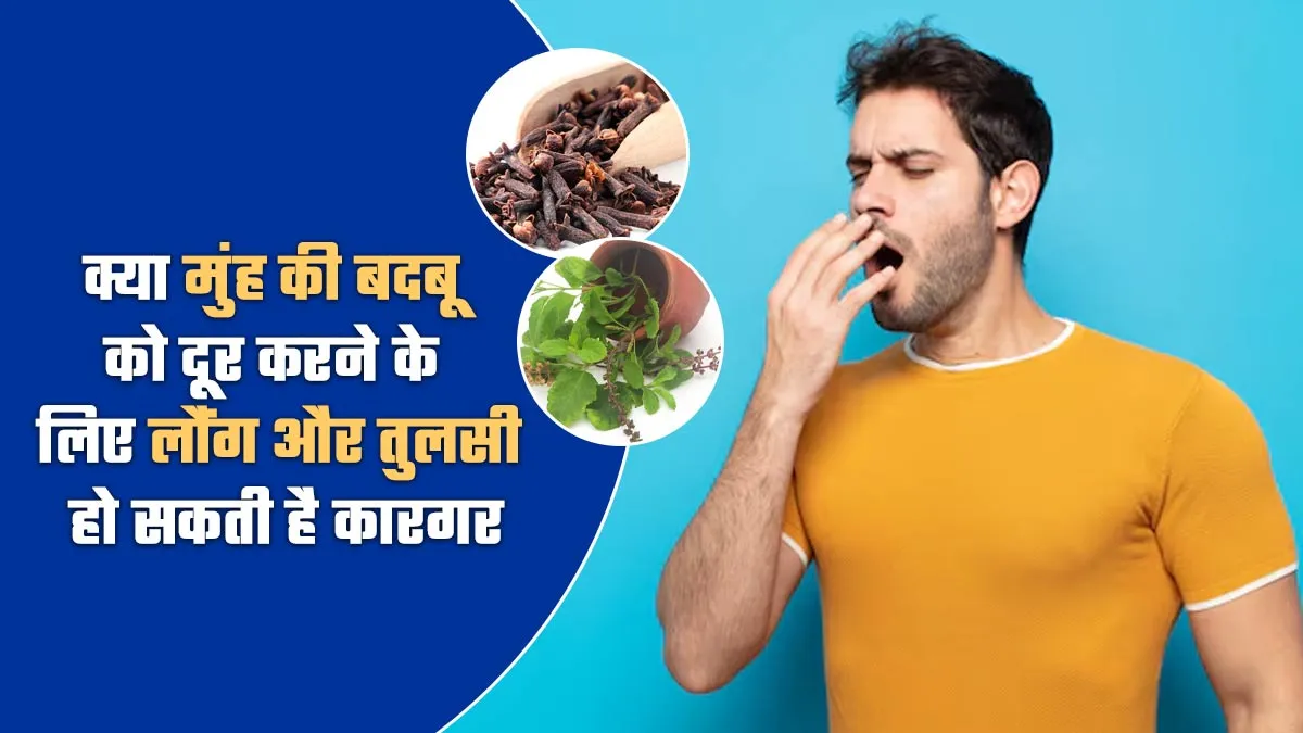 क्या मुंह की बदबू को दूर करने के लिए लौंग और तुलसी हो सकती है कारगर, डॉक्टर से जानें