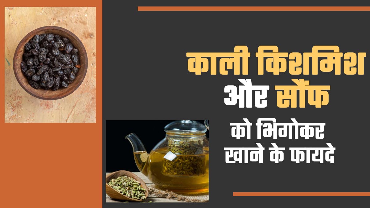 काली किशमिश और सौंफ को भिगोकर खाने के फायदे, एक्सपर्ट से जानें