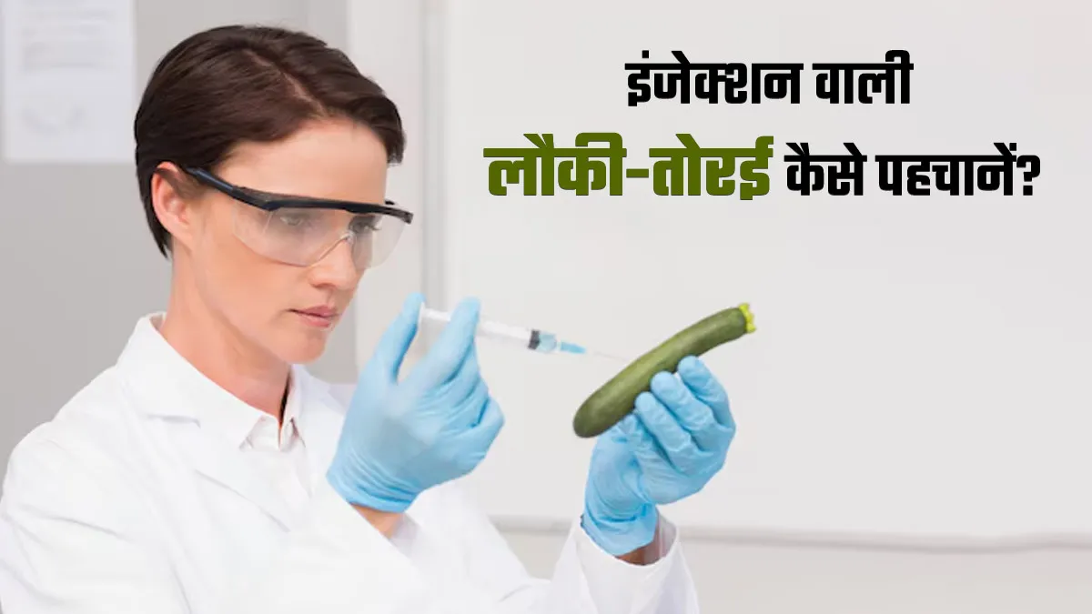 इंजेक्‍शन वाली लौकी-तोरई को पहचानने के लिए अपनाएं ये आसान तरीके, जानें एक्सपर्ट से