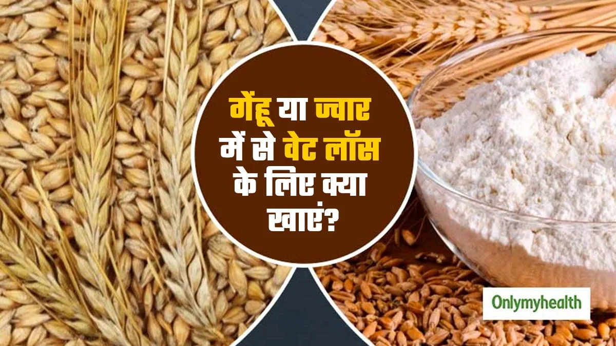 गेंहू या ज्वार: वजन घटाने के लिए कौन-सा अनाज ज्यादा फायदेमंद है?