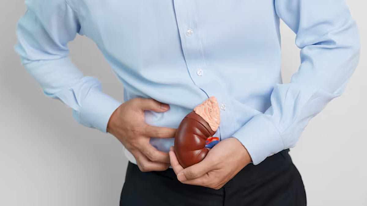 can kidney stones affect your digestive system in hindi 01 (3)