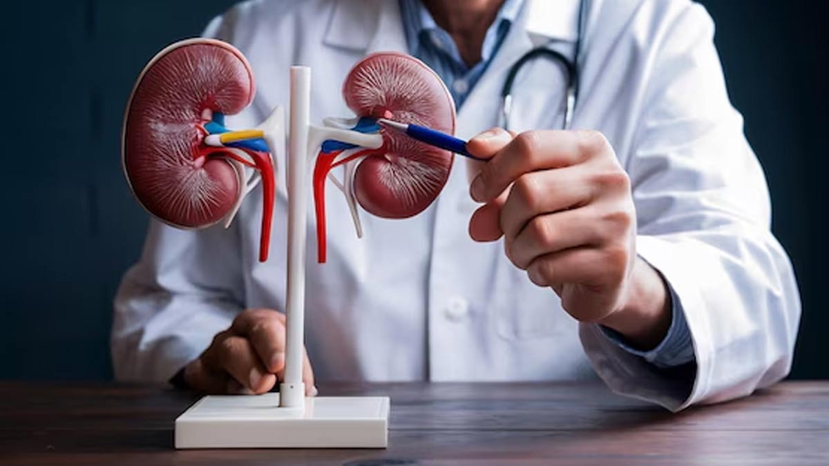 01 - 2025-06-28T005308.725