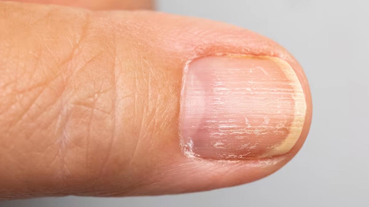 01 - 2025-06-28T150209.579