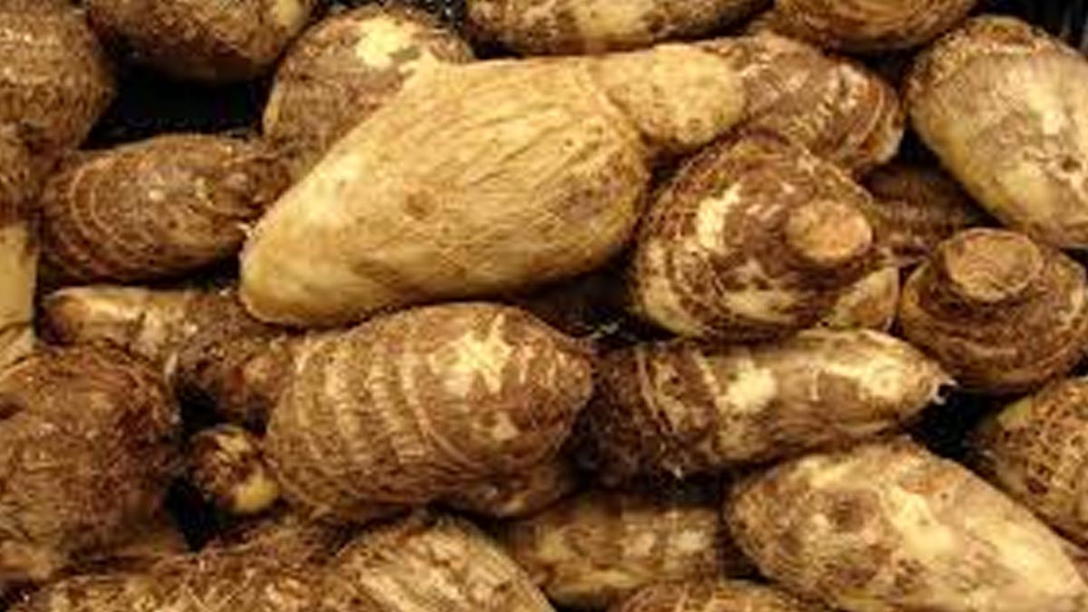 Can Arthritis Patients Eat Arbi Vegetable In Monsoon in