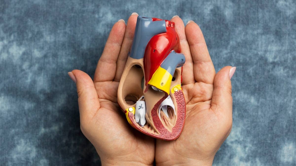 Cardiovascular-Kidney-Metabolic-Syndrome-Risk-Factors-Inside