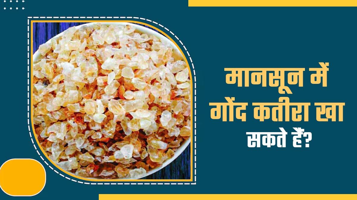 क्या बरसात में भी खा सकते हैं गोंद कतीरा? पहले आयुर्वेदाचार्य से जानें फायदे और नुकसान