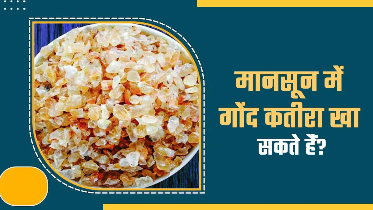 क्या बरसात में भी खा सकते हैं गोंद कतीरा? पहले आयुर्वेदाचार्य से जानें फायदे और नुकसान