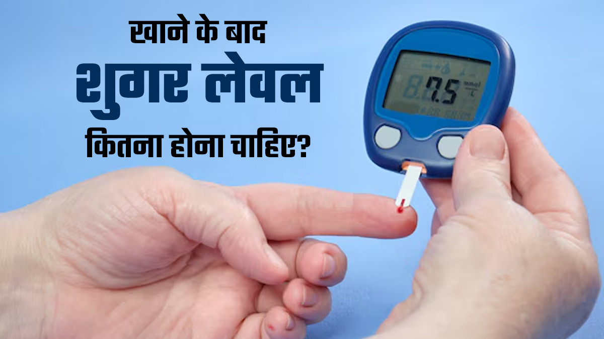 खाना खाने के बाद शुगर लेवल क‍ितना होना चाह‍िए? डॉक्‍टर से जानें