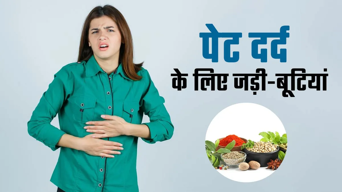 पेट दर्द से राहत के लिए फायदेमंद हैं ये जड़ी-बूटियां, आयुर्वेदिक डॉक्टर से जानें
