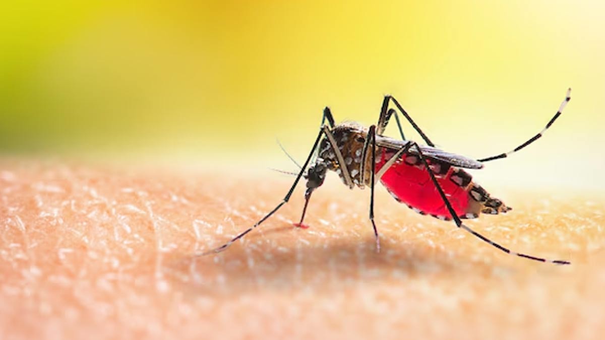 list of monsoon diseases 01 (9)