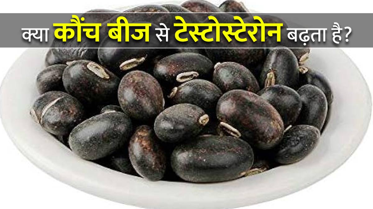 क्या कौंच बीज से टेस्टोस्टेरोन बढ़ता है? डॉक्टर से जानें