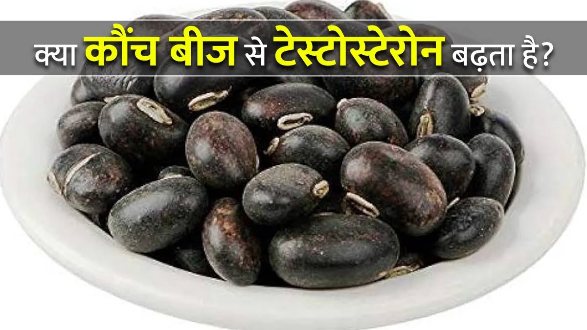 क्या कौंच बीज से टेस्टोस्टेरोन बढ़ता है? डॉक्टर से जानें