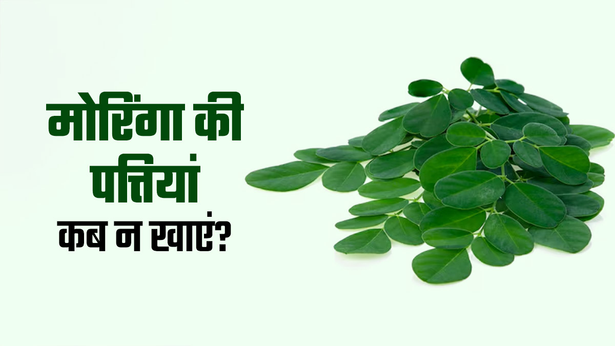 इन 5 समस्याओं में भूलकर भी न करें मोरिंगी की पत्तियों का सेवन, सेहत को पहुंच सकता है नुकसान