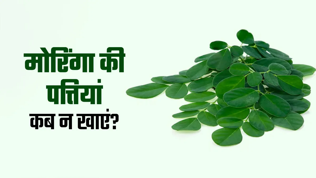 इन 5 समस्याओं में भूलकर भी न करें मोरिंगी की पत्तियों का सेवन, सेहत को पहुंच सकता है नुकसान