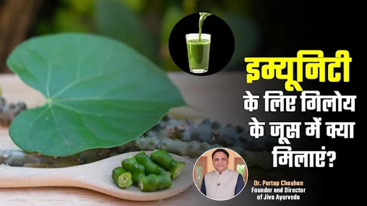 इम्यूनिटी बढ़ाने के लिए गिलोय के जूस में क्या मिलाकर पिएं? जानें असरदार आयुर्वेदिक कॉम्बिनेशन
