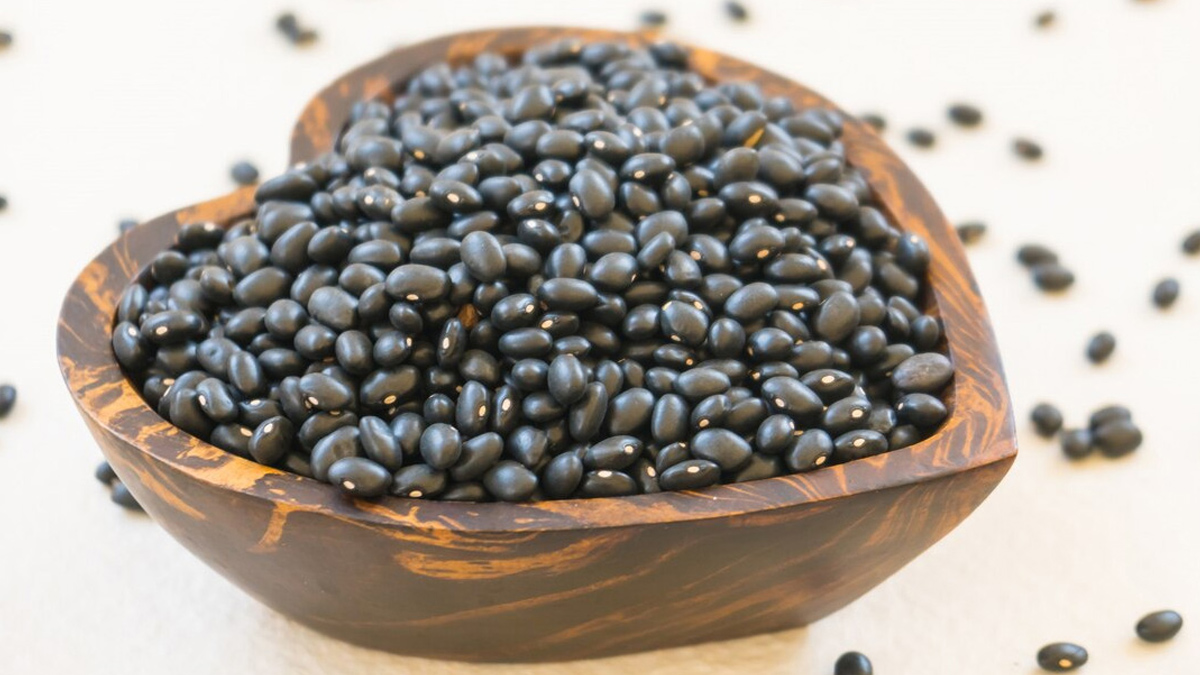 Does kaunch beej increase testosterone in