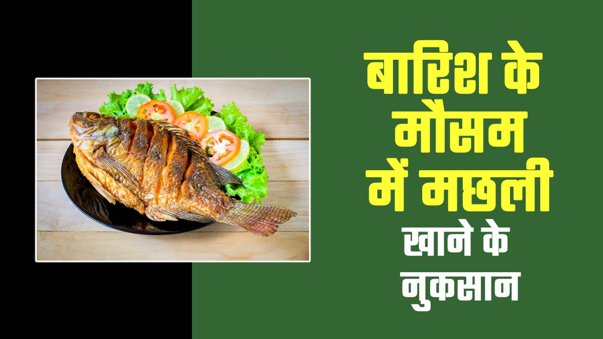 बारिश के मौसम में सेहत को फायदा नहीं नुकसान पहुंचाती है मछली, एक्सपर्ट से जानिए इसका कारण