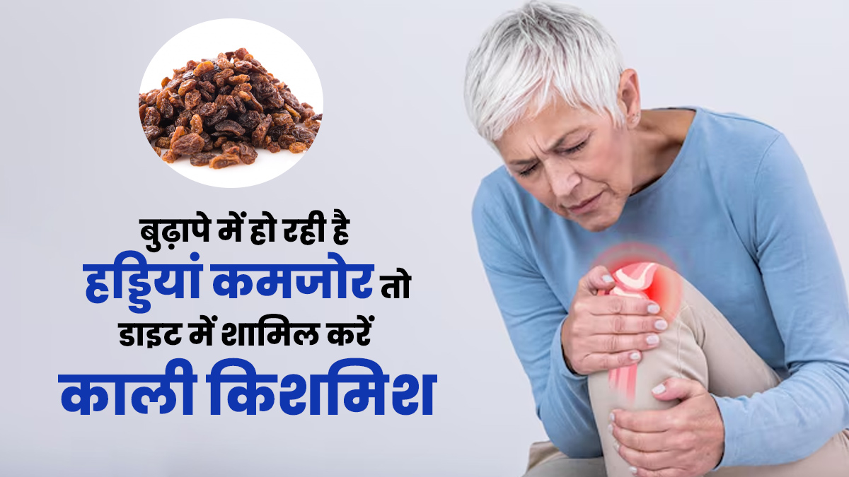 बुढ़ापे में हो रही है हड्डियां कमजोर तो डाइट में शामिल करें काली किशमिश, जानें फायदे और खाने के सही तरीका