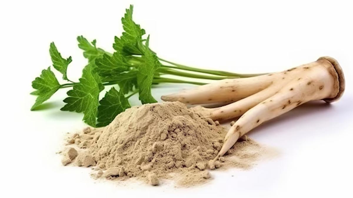 Shatavari Churna Shatavari-Churna-Inside