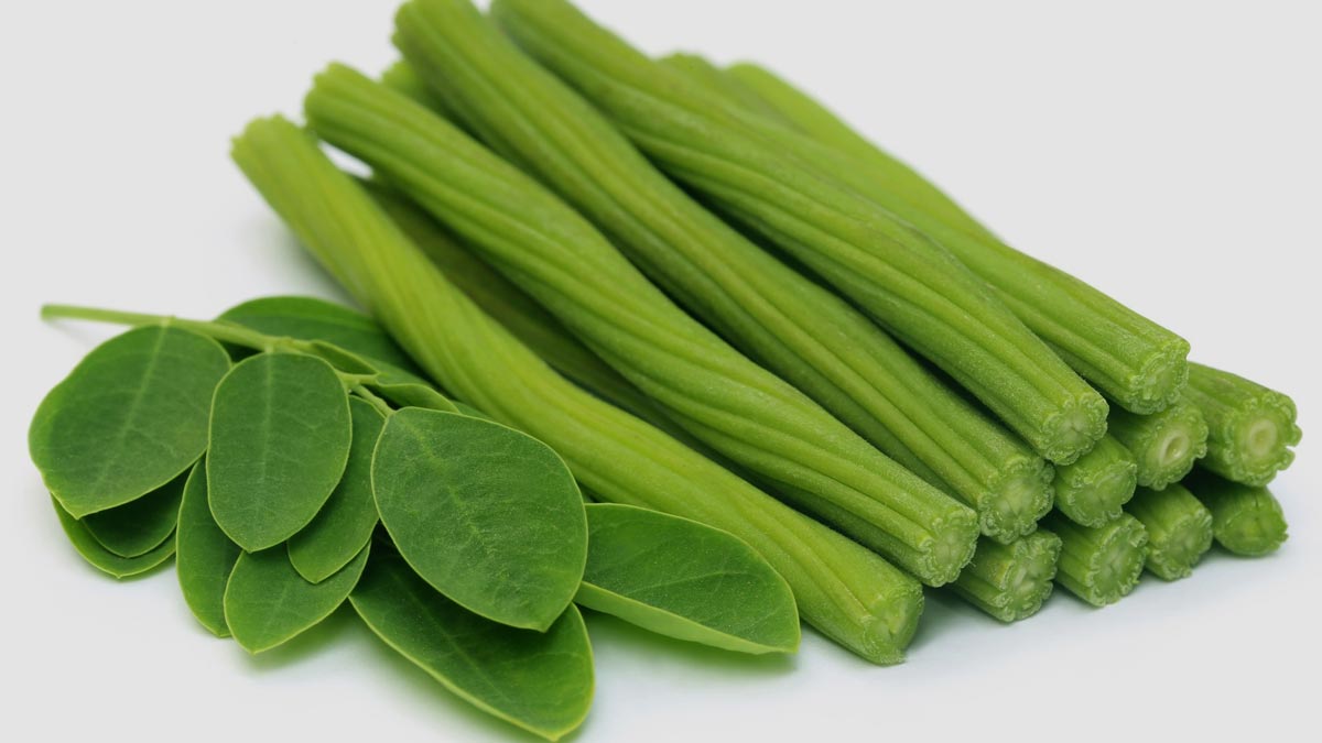 drumstick for protein