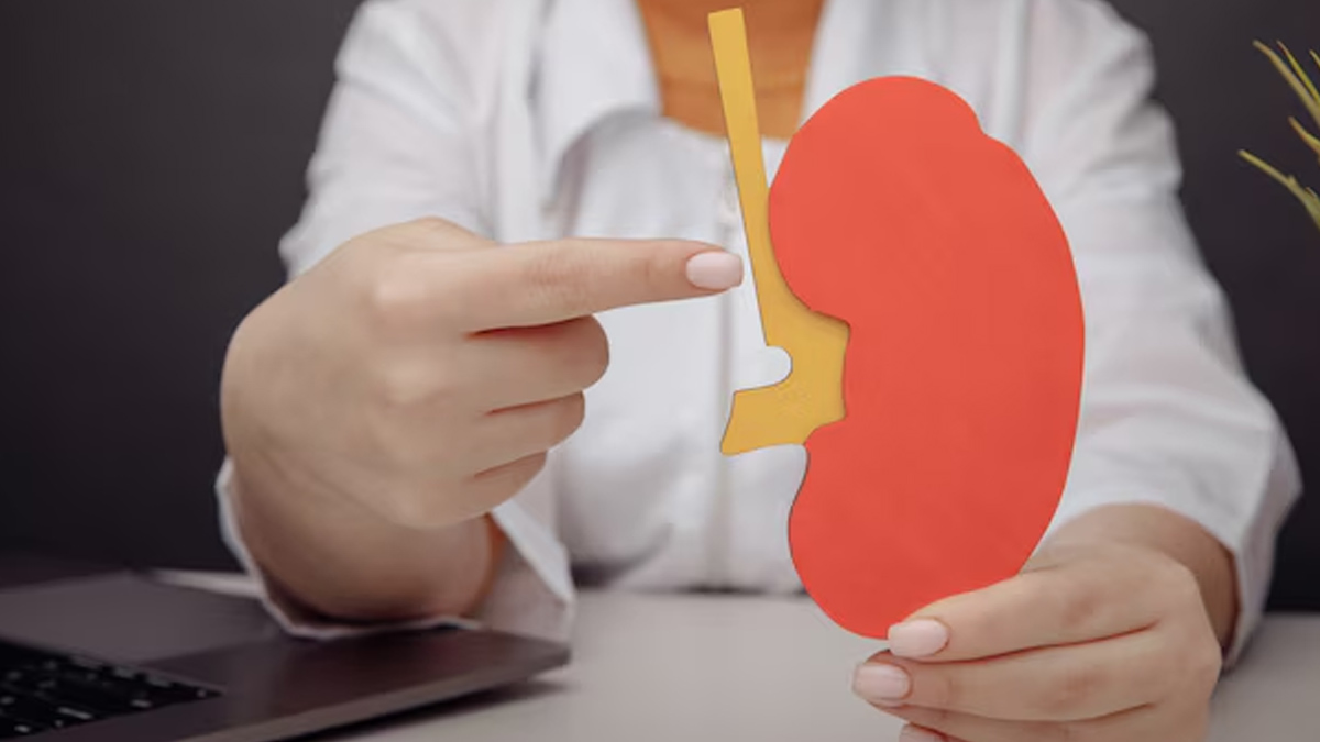 how recurrent uti can increase the risk of kidney cancer in women in
