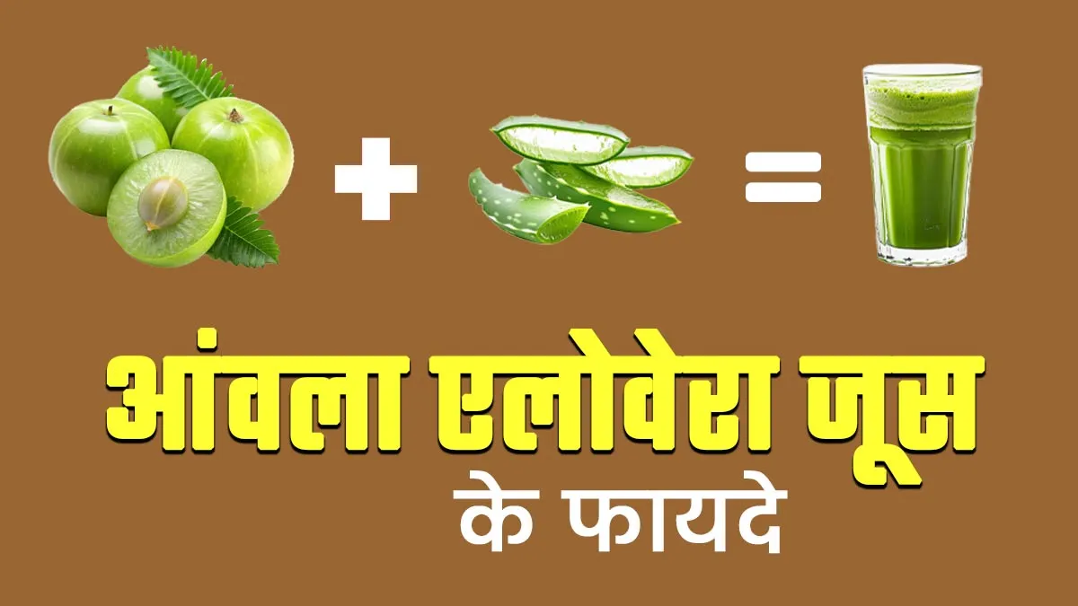 सुबह खाली पेट आंवला-एलोवेरा जूस पीने से सेहत को मिलते हैं ये खास फायदे