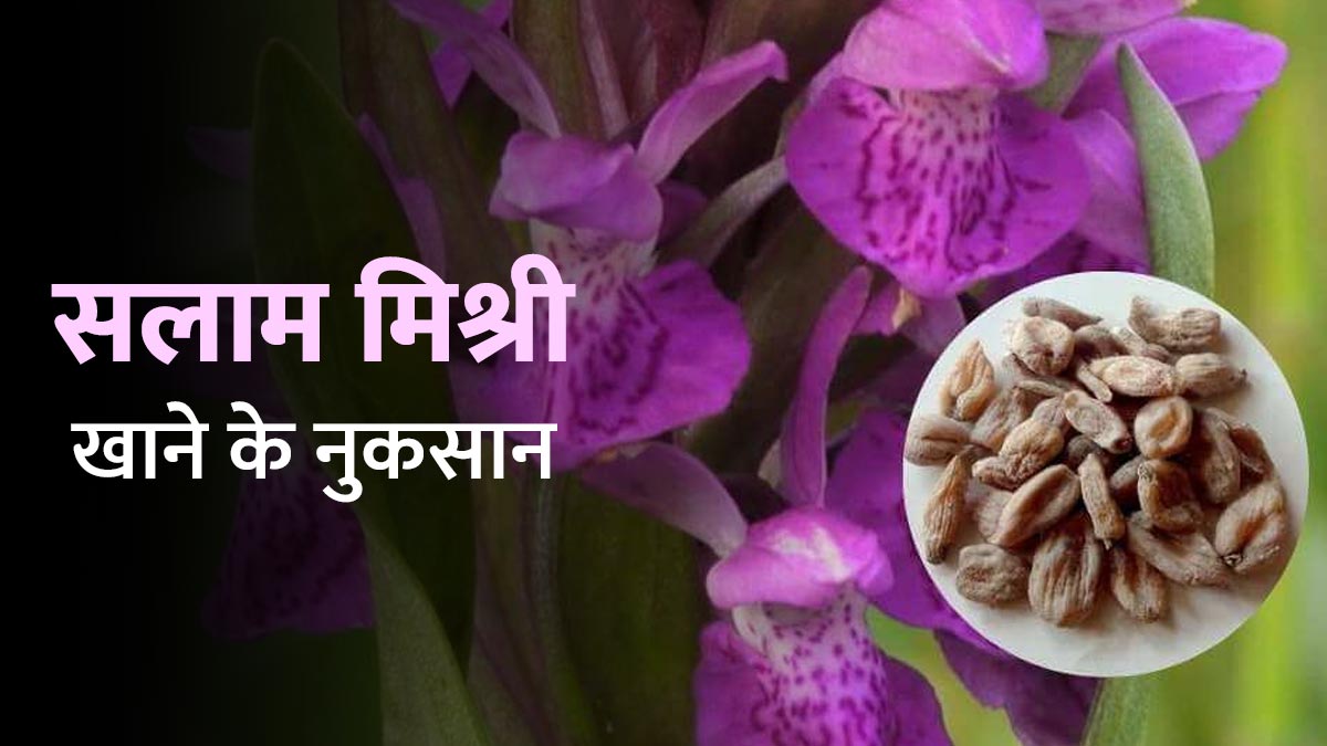 हार्मोनल असंतुलन और हाई ब्लड शुगर जैसी परेशानियां को बढ़ाती है सालम मिश्री, जानें इसे खाने के 5 नुकसान