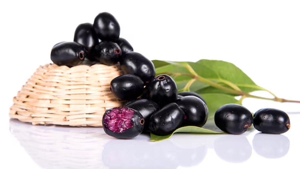 01 - 2025-07-06T114618.199