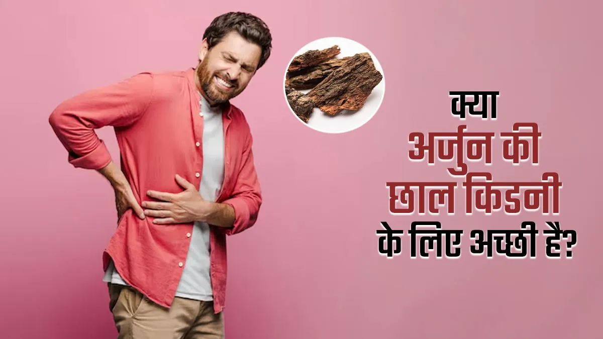 क्या अर्जुन की छाल किडनी के लिए अच्छी होती है? जानें डॉक्टर की राय