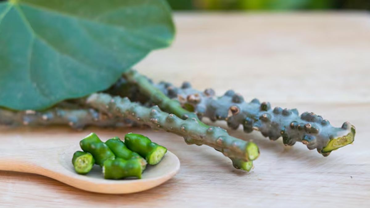 is giloy bad for kidneys in hindi 01 (3)