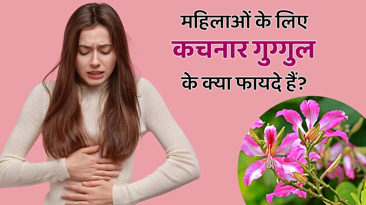 महिलाओं की इन 5 समस्याओं को दूर करता है कचनार गुग्गल, जानें इसे खाने का तरीका