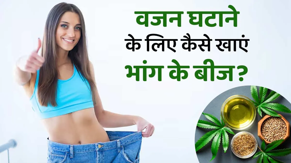 वजन घटाने के लिए कैसे खाएं भांग के बीज? जानें एक्सपर्ट से