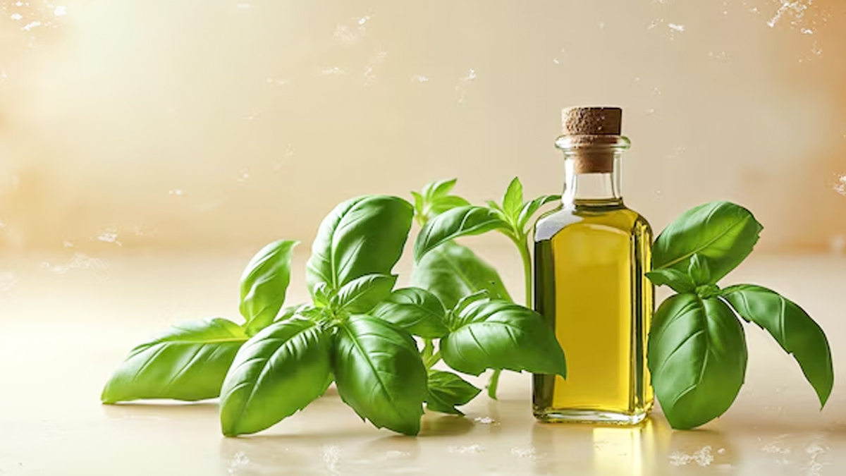 tulsi-amla-hair-oil