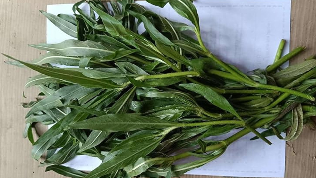 Kulekhara-saag-inside