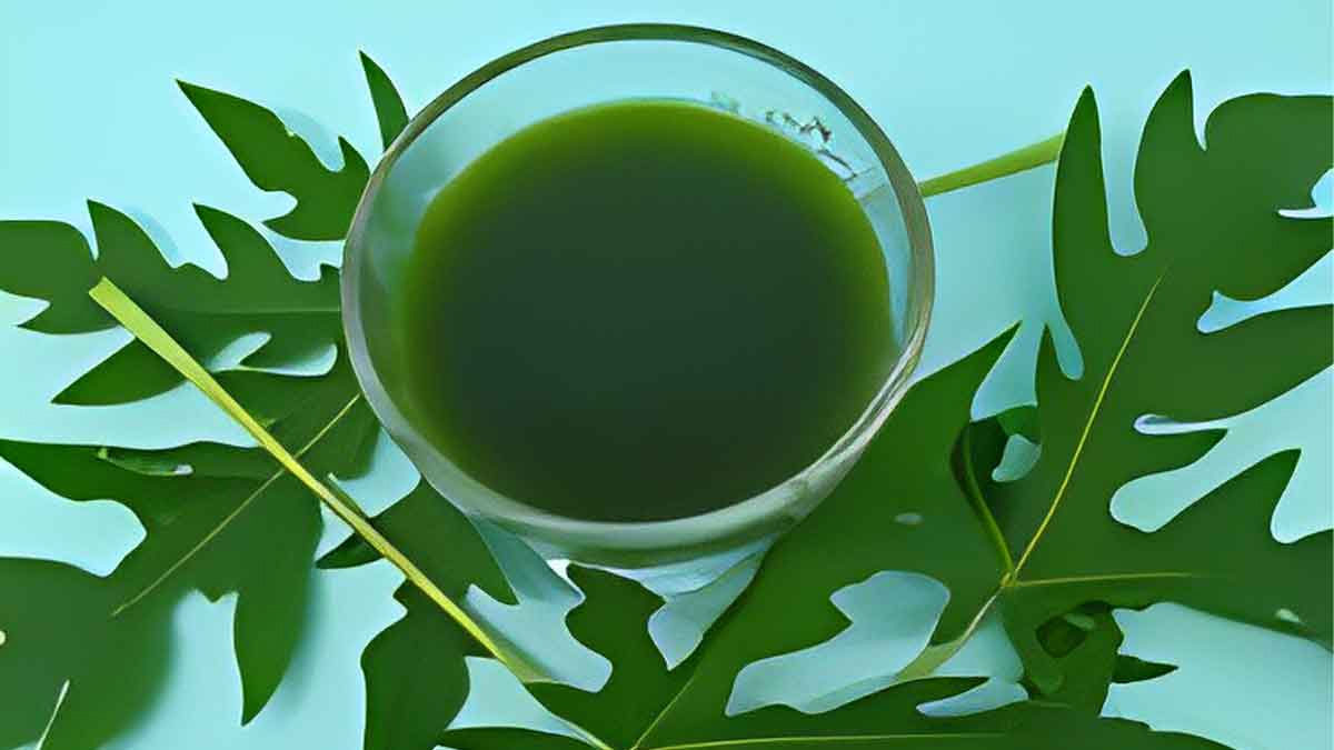papita-ke-patte-ke-juice-ke-nuksan-inside