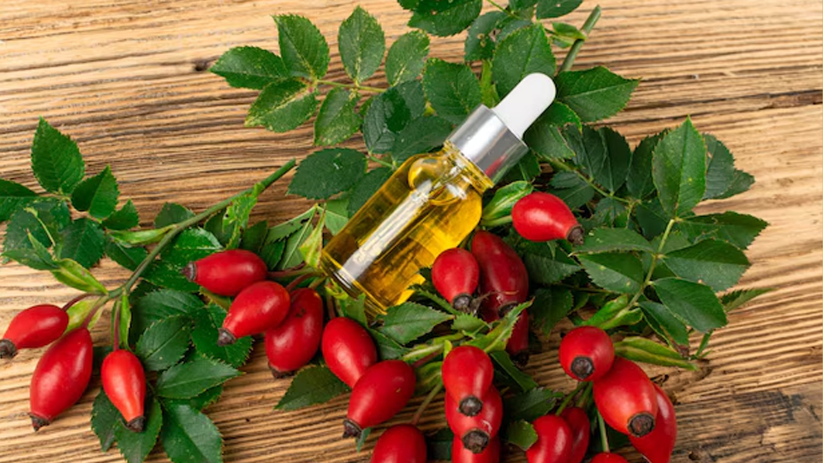 rosehip oil benefits for hair in hindi 1