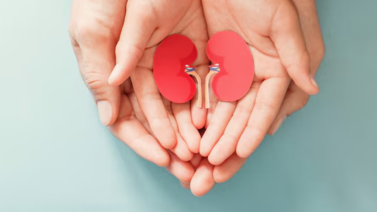 what to eat to protect your kidneys from damage in hindi 01 (3)
