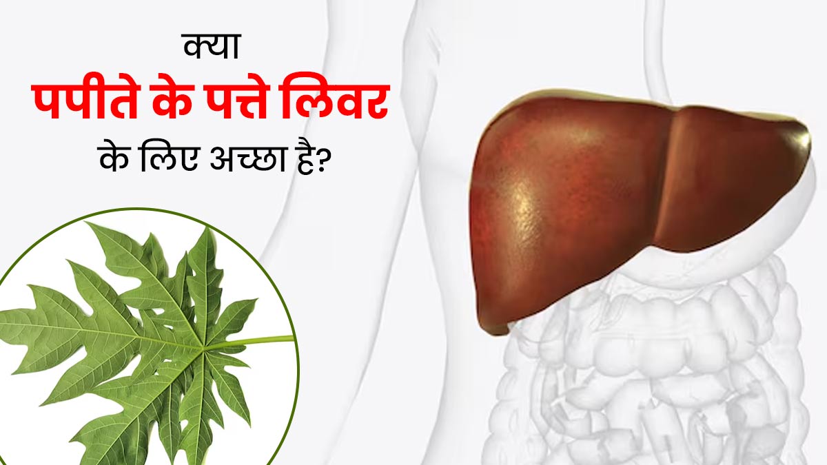 क्या पपीते के पत्ते आपके लिवर के लिए अच्छे हैं? डॉक्टर से जानें