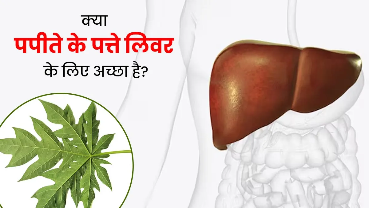 क्या पपीते के पत्ते आपके लिवर के लिए अच्छे हैं? डॉक्टर से जानें